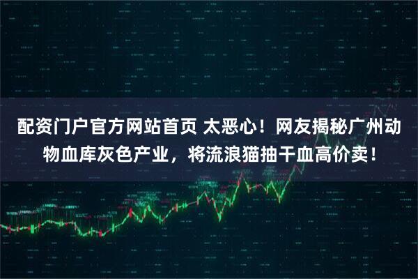 配资门户官方网站首页 太恶心！网友揭秘广州动物血库灰色产业，将流浪猫抽干血高价卖！